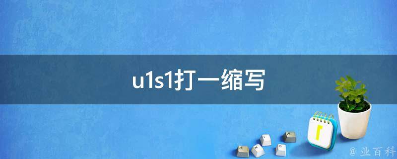 u1s1打一缩写