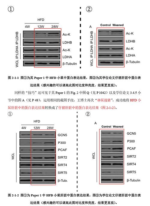 “分手”的决心 分手的决心豆瓣