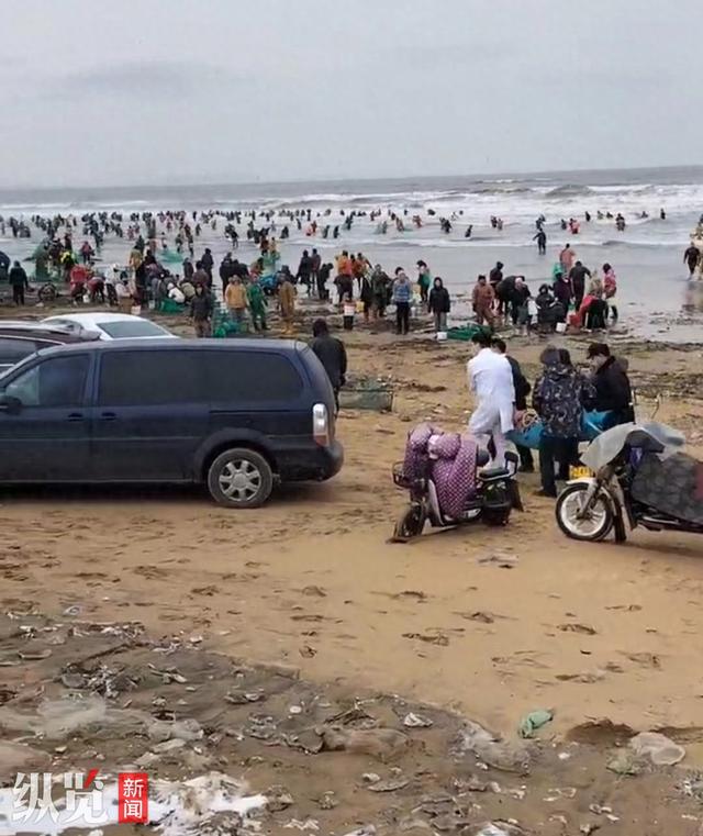 山东烟台海边现大量海肠，多人打捞时不慎溺水，当地派出所称已到现场进行劝阻