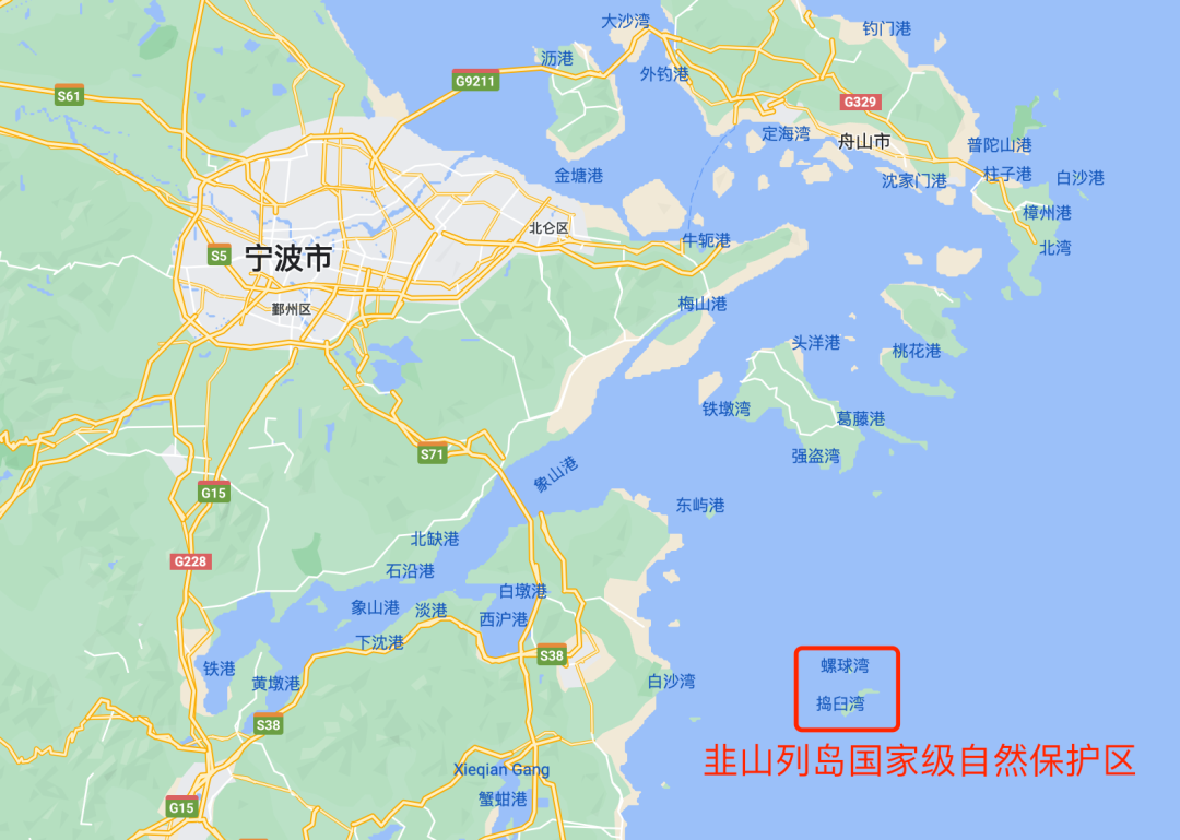 研究团队回应“300元一天招募海鸟监测员”：不仅环境艰苦，还需具备一定技能