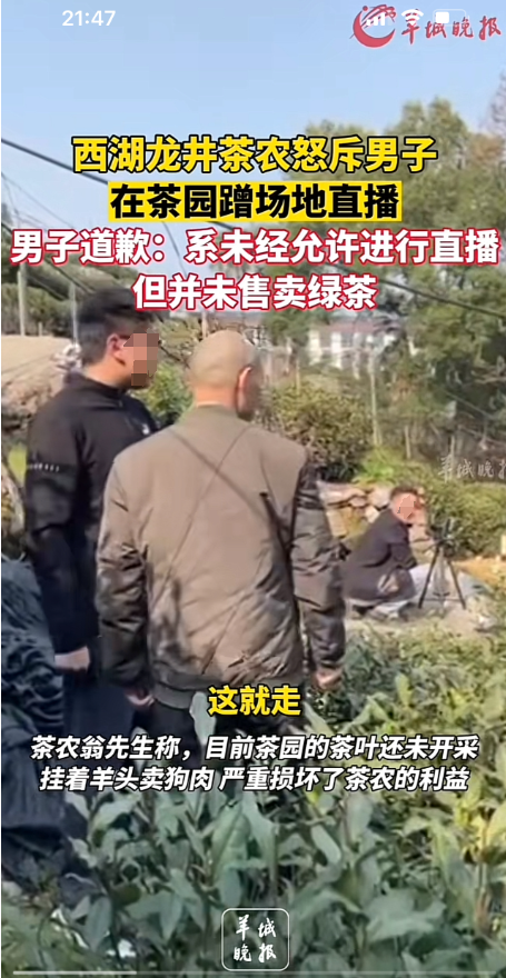 男子被指在茶园蹭场地直播