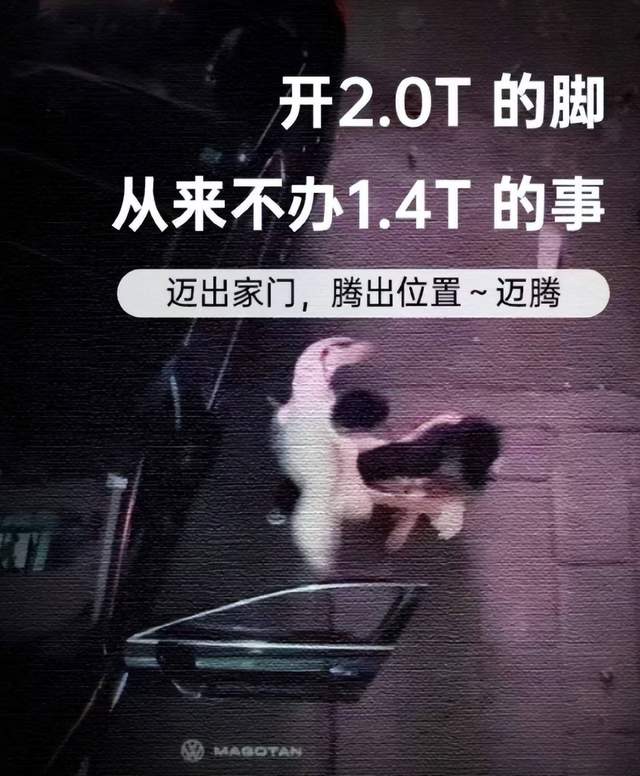 成都迈腾男子离家半小时被绿，女友找男人回家睡觉，被当街暴打