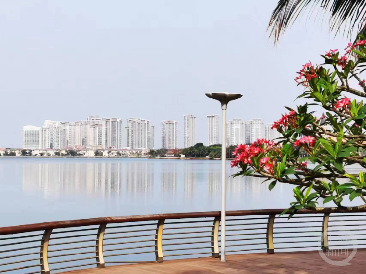 多人称住海南海花岛疑似“海砂房”险象环生，当地住建局：高度重视，全面整改