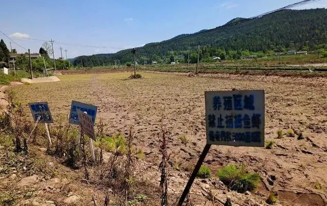 四川一稻虾基地被博主传“随便捡”损失惨重，“完全劝不退！”律师详析三大焦点